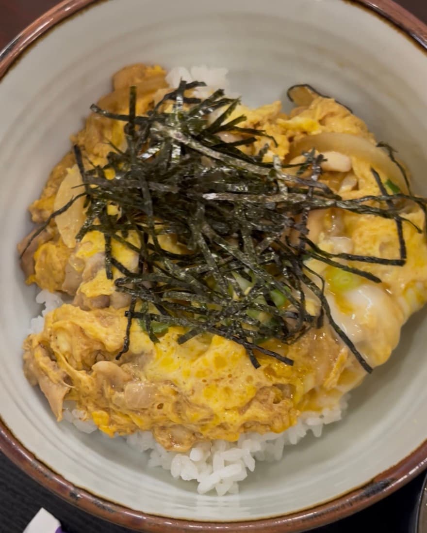 Oyako don in a brown-rimmed bowl — chicken and soft-set egg over rice, topped with shredded nori and scallion